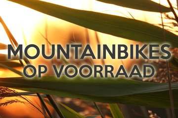 VOLWASSEN UIT VOORRAAD