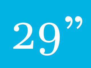 Kids 29 inch wielmaat