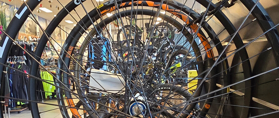 Wielen MTB Disc 29er