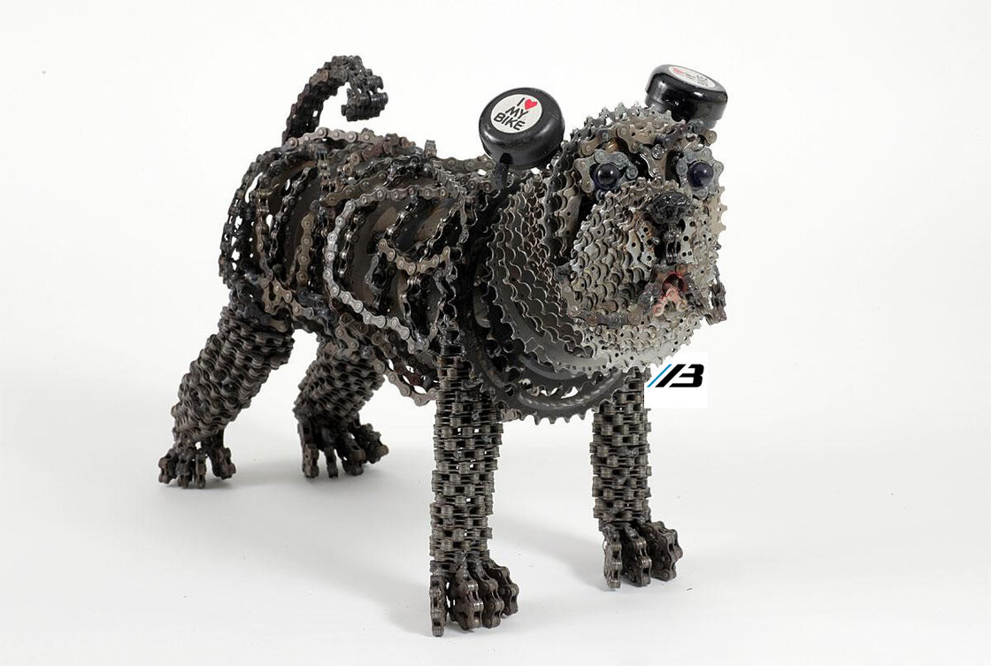 Derailleur Achter