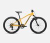 Orbea MX 24 XC Mango