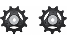 bdp-09 derailleurwiel
