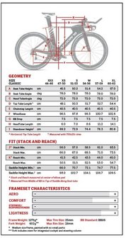 Argon18 E-119 Tri Frameset Large