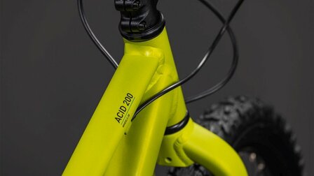 Cube Acid 200 Disc 2027 Lizard