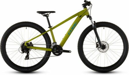 Cube Acid 260 Disc Lizard