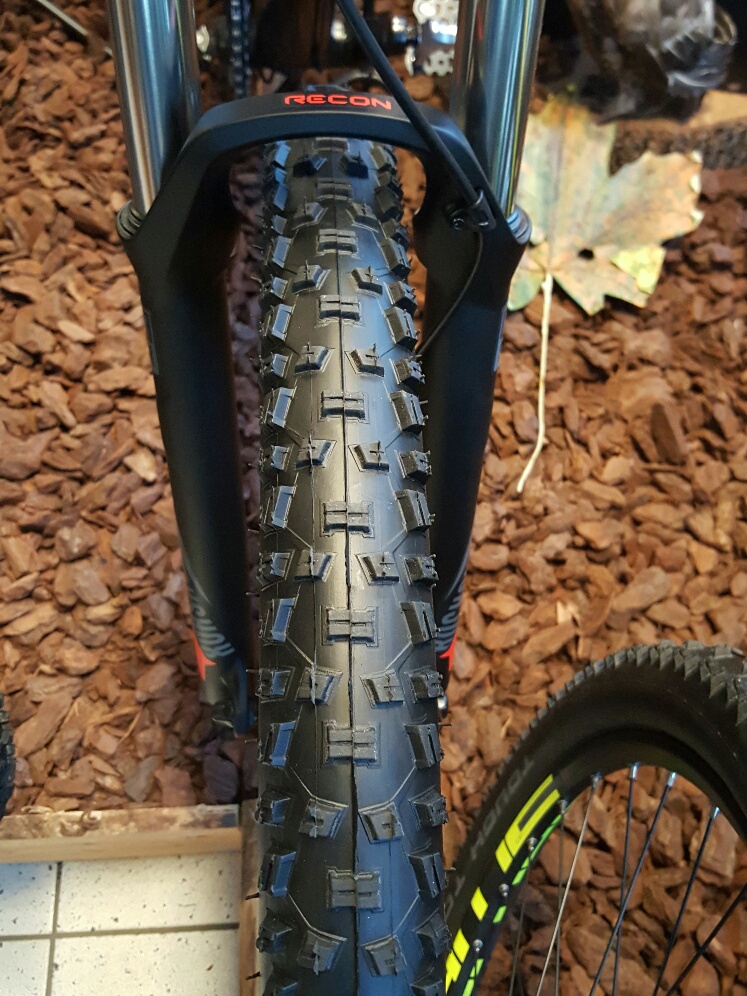 Rastløs Ups omfattende Schwalbe Tough Tom 29 x 2.25 - Bike-Zone, Cube, Orbea, Superior, Argon18,  Mendiz Racefiets, Mountainbike, Tijdrit, Gravelbike, Triathlon, E-bike 2023  - 2024